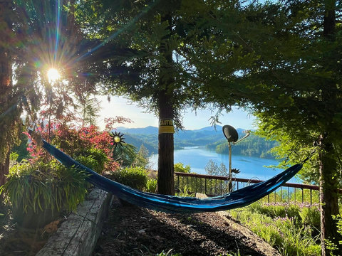 Views from the hammock area