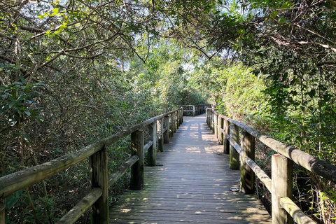 Deck em madeira com acesso privativo do condomínio para a praia.  /  Private walkway with access from the condominium to Campeche beach. 