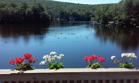 View from living room in late spring
