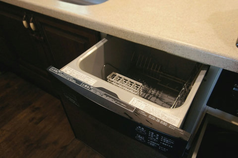 dishwasher at your disposal