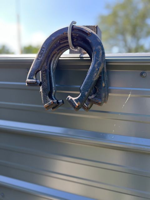 Horseshoes for Horseshoe game in Privacy Fenced Back Yard