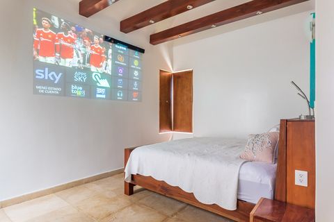 Master BR 4 Big Screen TV/Projector 