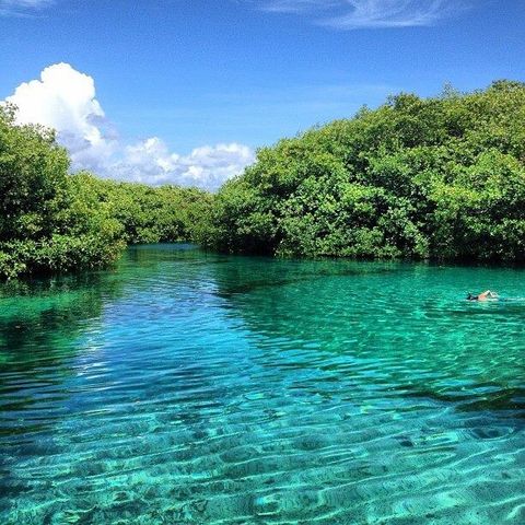 Swim in a lagoon