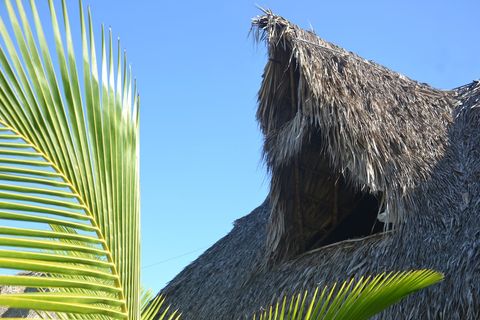 Swell Surf & Lifestyle Hotel