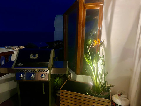 - Fire up the night with this sleek Napoleon grill, perfect for alfresco dinners under the stars
- Subtle lighting and tropical plants set the mood for a cozy, coastal cookout
- Located just steps from the kitchen, ideal for seamless indoor outdoor h