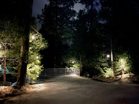 Magical forest entryway softly lit by string lights, offering a warm welcome beneath towering trees at dusk.