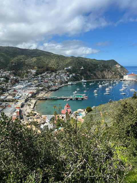 Gaze over Avalon’s colorful coastal town and sailboat dotted harbor framed by beautiful hills.