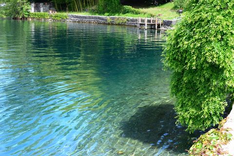 After Liming process in the 90's Orta's Lake is one of the cleanest lake in Italy, enjoy a swim 