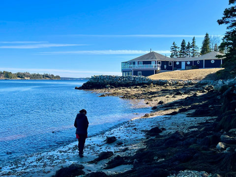 700' of coastline + your own private beach. 
Launch the kayaks, go swimming, harvest mussels for dinner and search for sea glass treasures! (Bring water shoes for maximum enjoyment.)