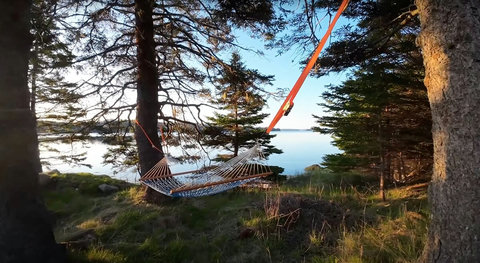Sneak away to the secluded hammock to read a book or nap to the sounds of the ocean.
