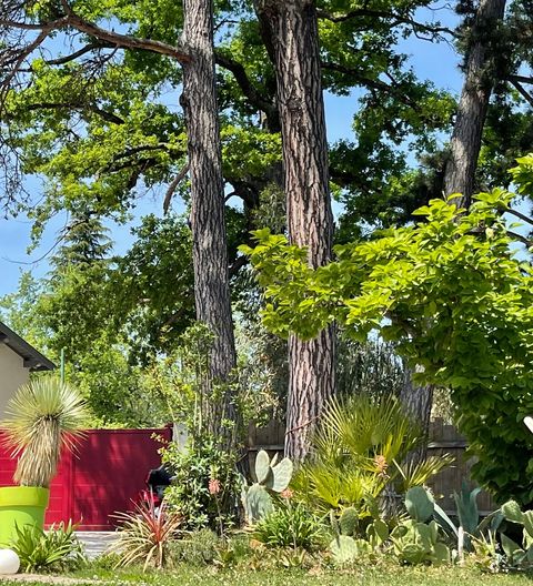 La cote d'azur a 10 minutes de Lyon