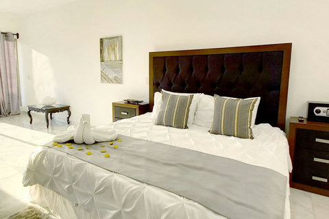 Modern Lakeview Master Bedroom