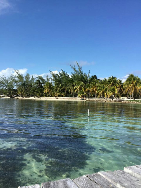 Tropical Beaches Galore