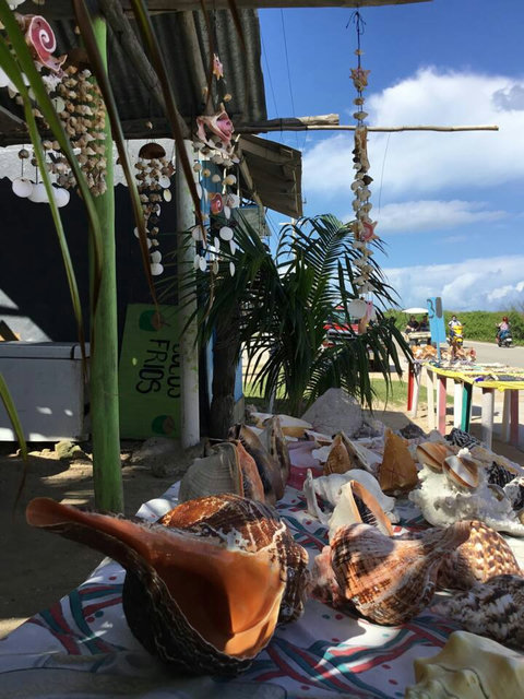 South Caribbean Side