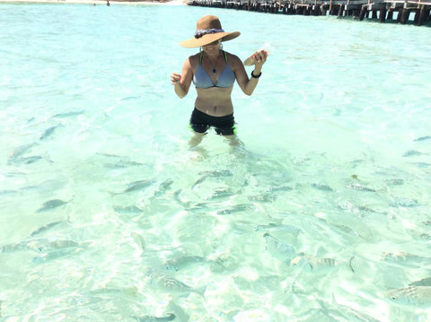 Feeding  many color  fIshes!! Next to Mia hotel