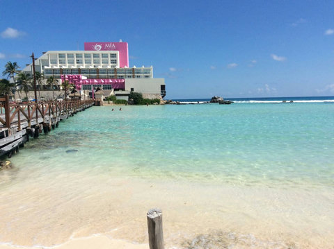 On the right side of the deck of the hotel Mia,  you can feed hundreds of color fish. 8 Minutes From THE WHITE HOUSE.  BOOK NOW!!!