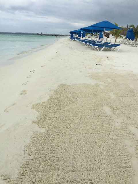 Posada Del Mar Beach, 7 Minutes From THE WHITE HOUSE