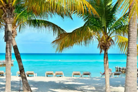 North Beach 7 Minutes Away #1 Beach All Mexico