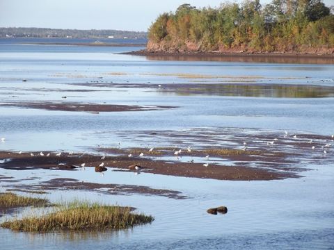 Low tide is spectacular to watch