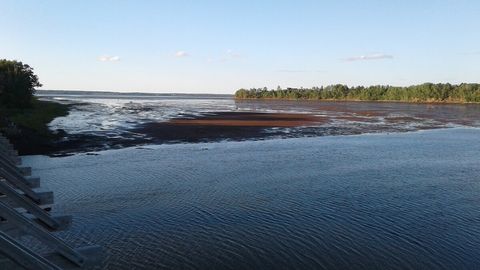 The view of Tatamagouche Bay during low tide. This picture is taken on the Butter trail that goes alongside Tatamagouche Centre.