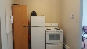 kitchen stove, fridge and one cupboard left side of the kitchen
