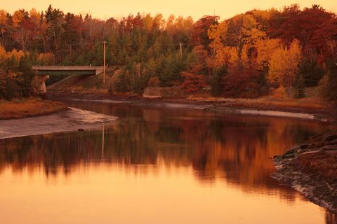 Fantastic Fall Colours French River