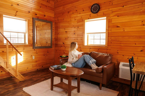 Cozy cabin living room with natural wood walls and a leather sofa.