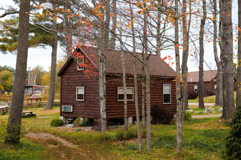 Rustic cabin surrounded by autumn trees in a peaceful setting
