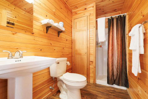 Rustic bathroom with wood-paneled walls and a walk-in shower.