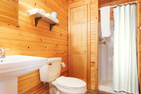 Rustic bathroom with wooden walls, a shower, and essential amenities.