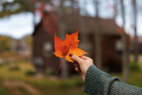 Hand holding a vibrant autumn leaf with a rustic cabin blurred in the background
