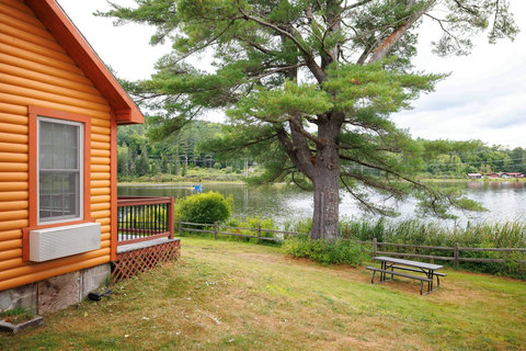 Relax by the lake with a picnic table and scenic views from the cabin's yard.