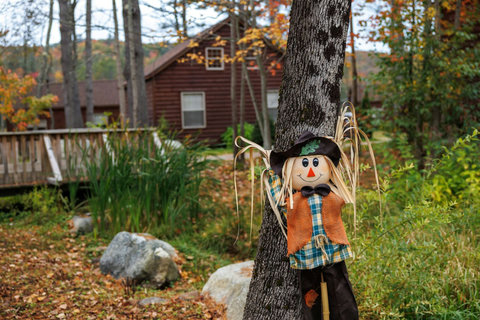 Rustic cabin surrounded by autumn foliage with a seasonal scarecrow decoration.