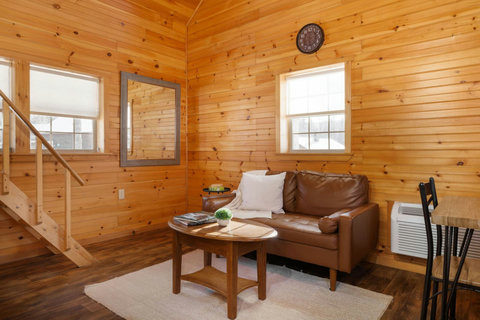 Cozy living area with leather sofa and natural wood walls in a rustic cabin setting.