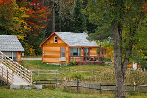 Cozy cabin with a porch surrounded by autumn foliage and natural greenery
