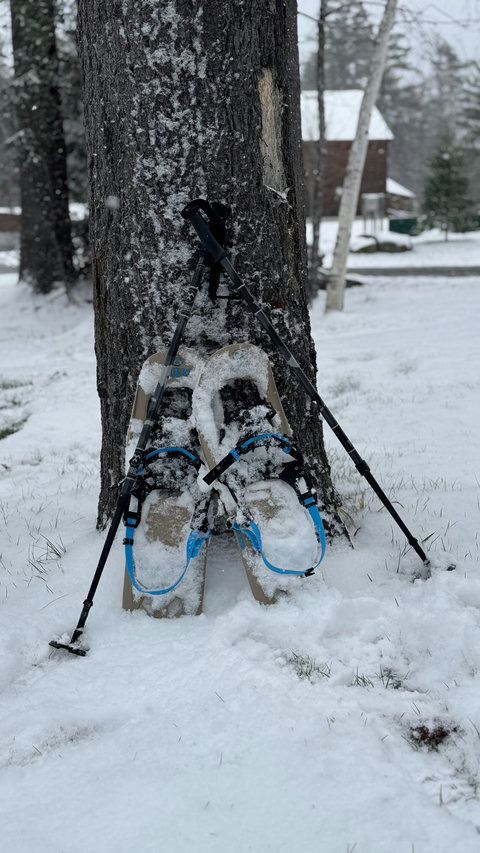 Snowshoes and poles resting against a tree in a snowy winter setting near a cabin.