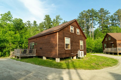 Rustic wooden cabin surrounded by lush greenery and tall trees