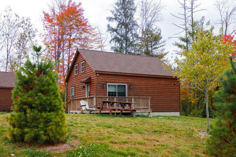 Cozy rustic cabin with a wooden deck and picnic table surrounded by autumn trees
