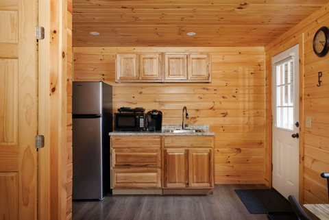 Compact kitchen area with wooden cabinetry and stainless steel appliances in a rustic cabin setting.