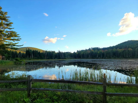 Tranquil lake view framed by forested hills and a rustic wooden fence