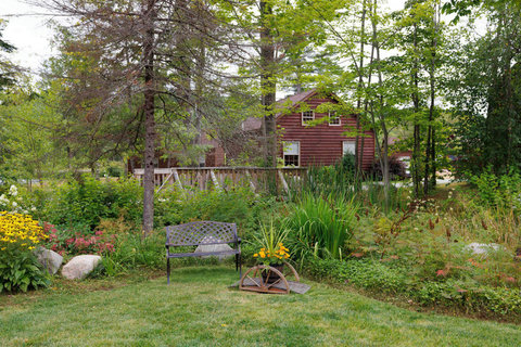 Rustic cabin surrounded by lush greenery and a peaceful garden seating area.