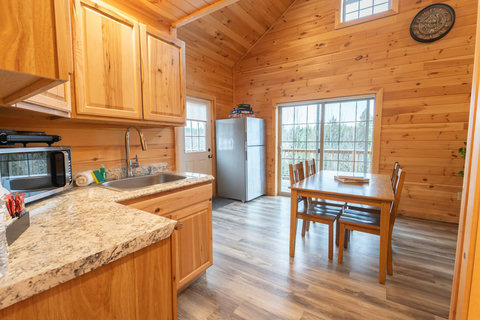 rustic kitchen and dining area with wood paneling and natural light from sliding glass doors