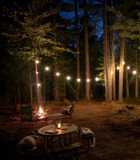Cozy outdoor seating area with a fire pit and string lights in a forest setting at night