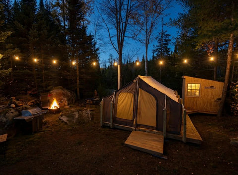 View under the stars!