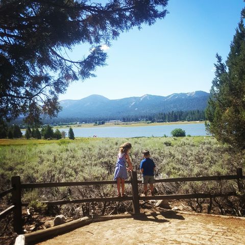 Our favorite walk is around Big Bear Lake along Pedal Path.