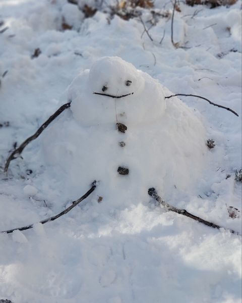 Our first snowman built right outside the cabin after our first snowfall experience.