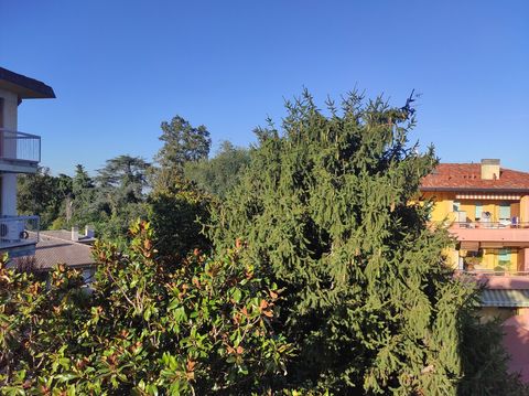 This is the view outside the window of Venice room.