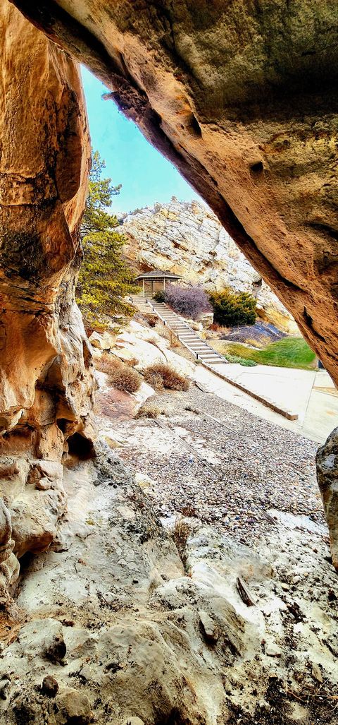 Rock features of back yard. 