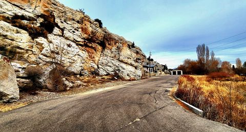 A long private driveway to the home. 