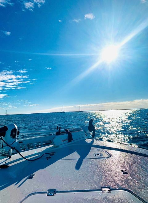 Lot’s of charters & boat rentals in Big Pine Key! Short walk/bike/drive from the park.
